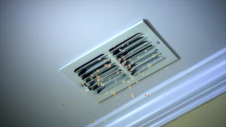 Best Ventilation Cleaning Services  in Carefree, AZ