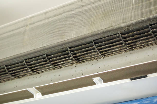Best Professional Duct Cleaning Services  in Carefree, AZ