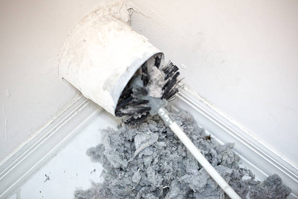 Best HVAC Maintenance and Cleaning  in Carefree, AZ